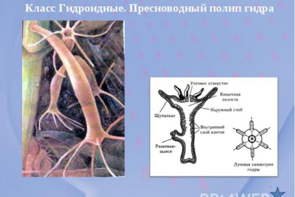 Как зайти на площадку кракен