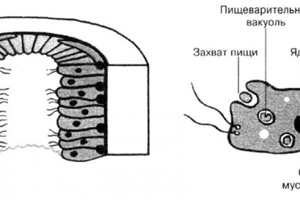 Кракен сайт ссылка kr2web in